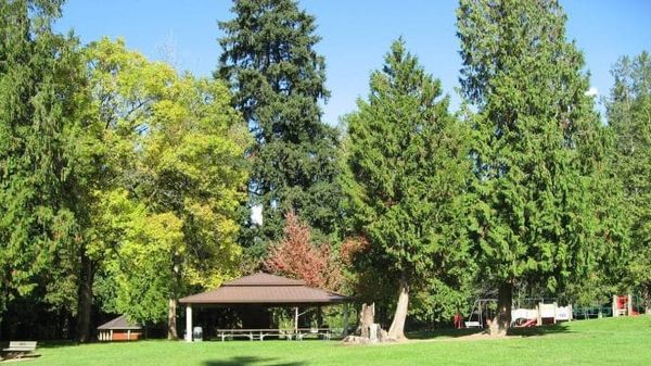 Rain or Shine Events 2026